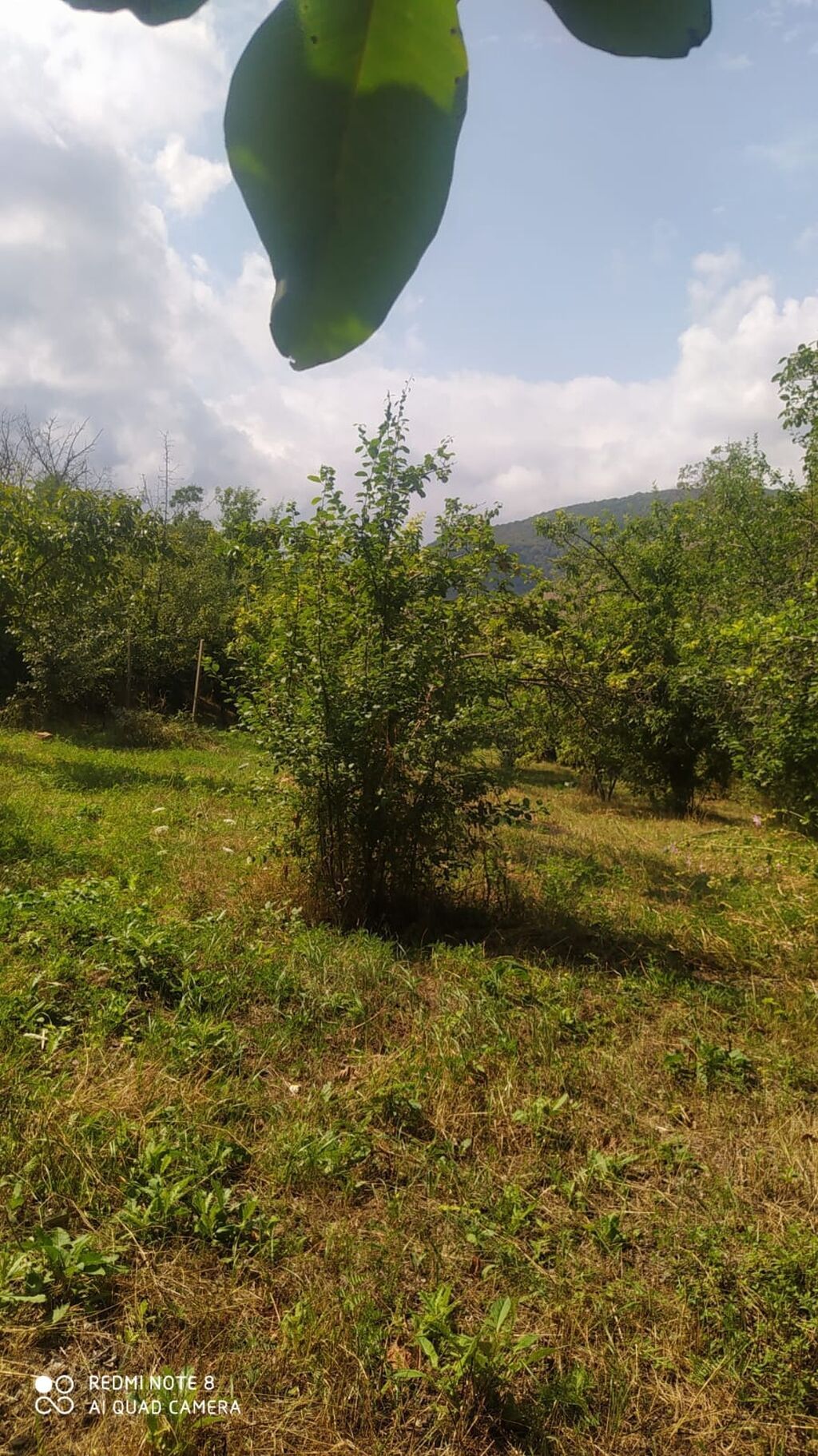 Gəncə, 4 kv. m, 1 otaqlı, Hovuzsuz, Su — Daşınmaz əmlak, Gəncə (3)