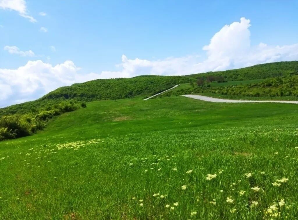 524 sot, Biznes üçün, Barter mümkündür, Kupça (Çıxarış) — Torpaq, Quba (7)