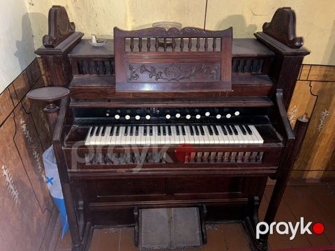 Harmonium tipli pedaallı pompalı orqan — Ester Organ Co., ABŞ