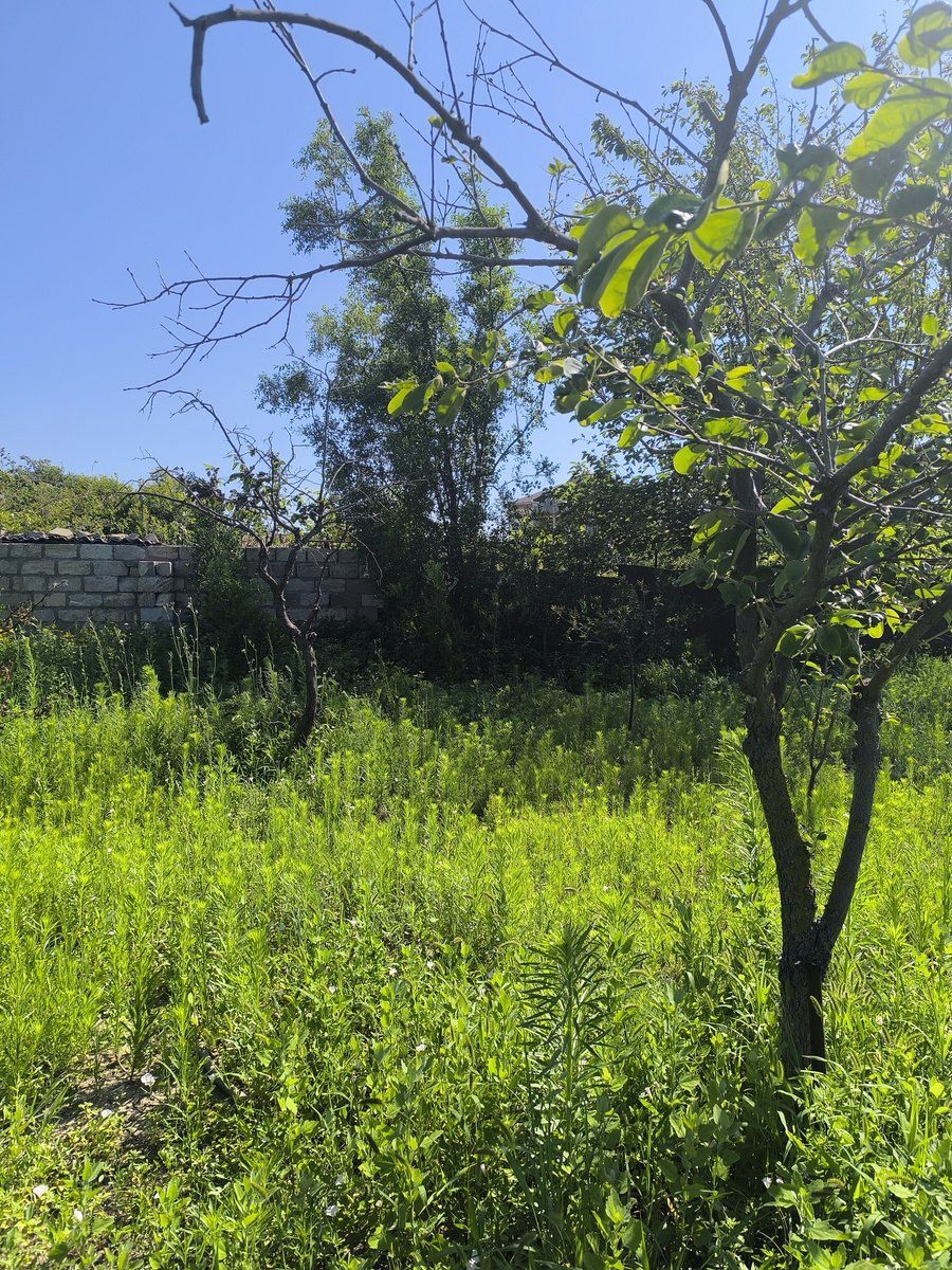 Satılır torpaq 4 sot — Torpaq, Bakı (2)