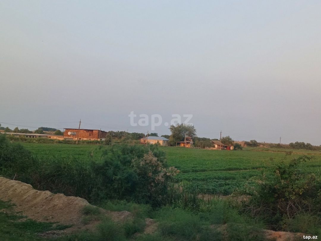6500 sot torpaq sahəsi, Sabirabad r. — Torpaq, Sabirabad (2)