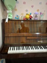 Piano Oktava — Musiqi Alətləri