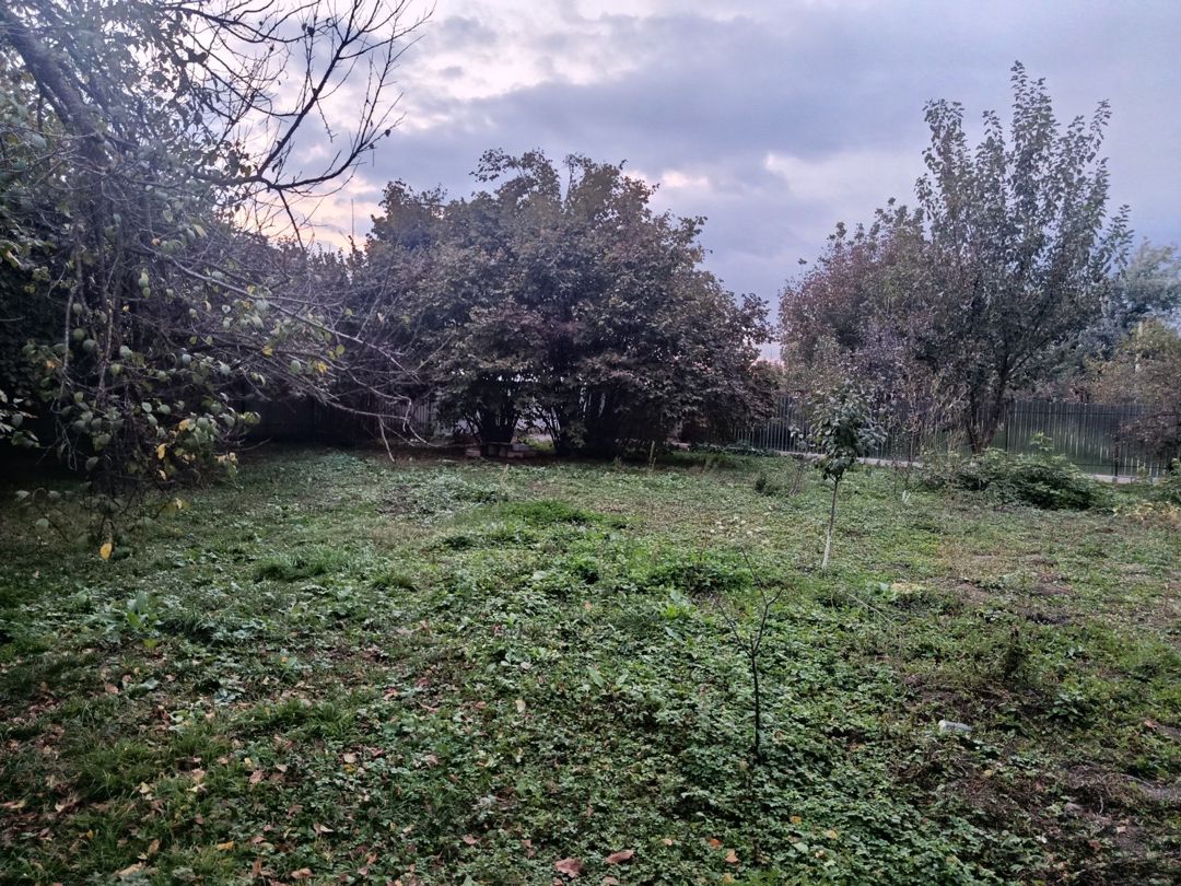 12 sot torpaq sahəsi, İsmayıllı r. — Torpaq, İsmayıllı (6)