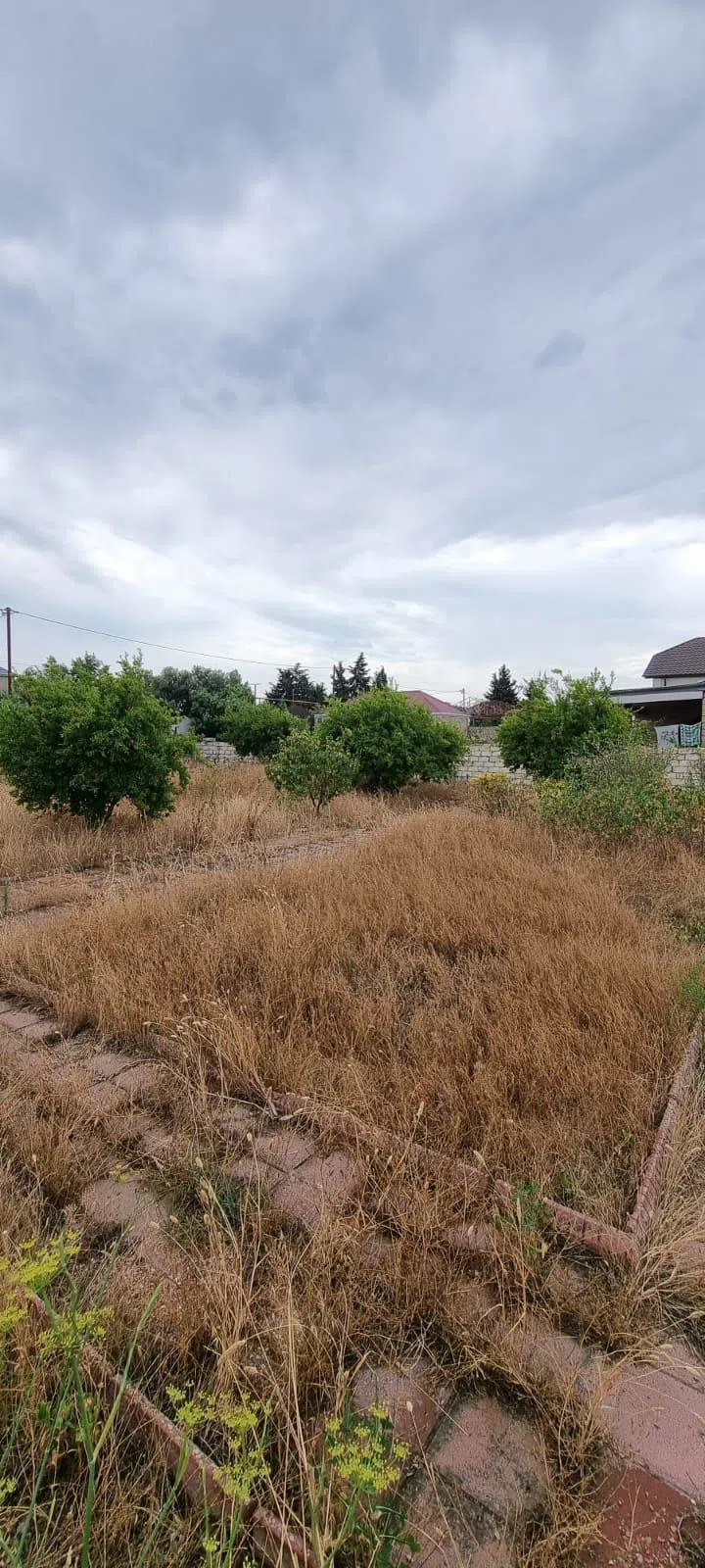 8.5 sot torpaq sahəsi satılır — Torpaq, Bakı (2)