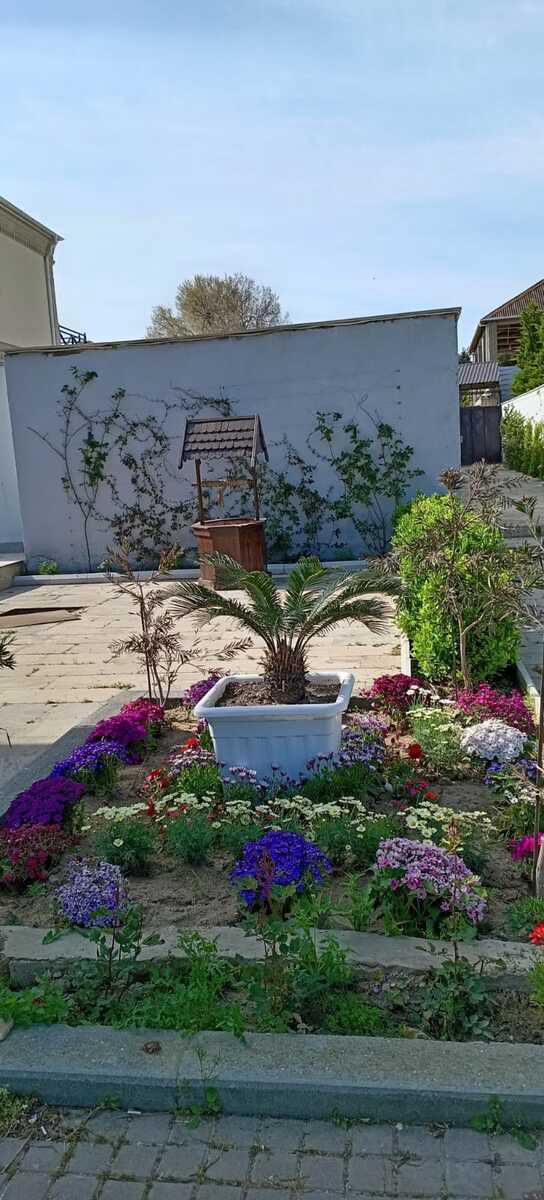 Satılır 5 otaqlı həyət evi/bağ evi 285 m² — Ev, villa, Bakı (3)