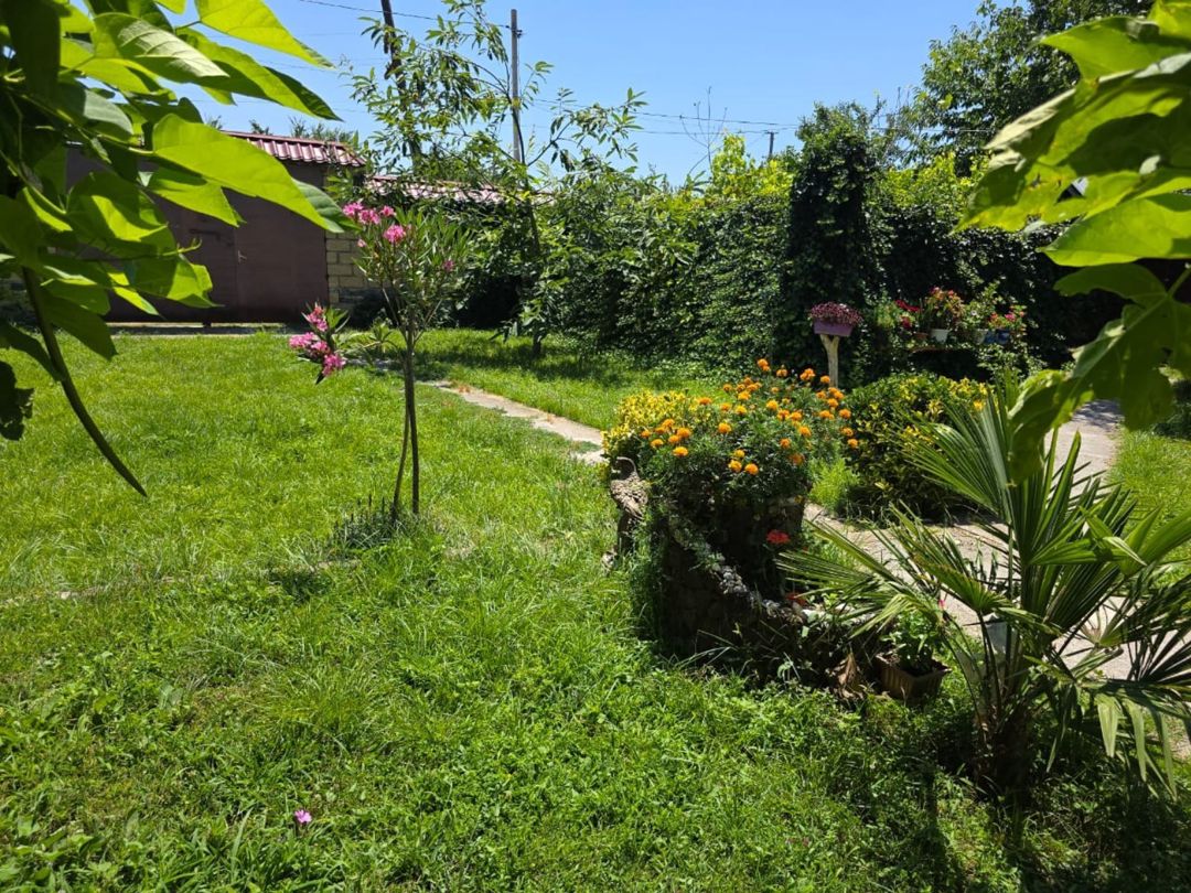 Həyət evi kirayə verilir, Qəbələ r. — Daşınmaz əmlak, Qəbələ (2)