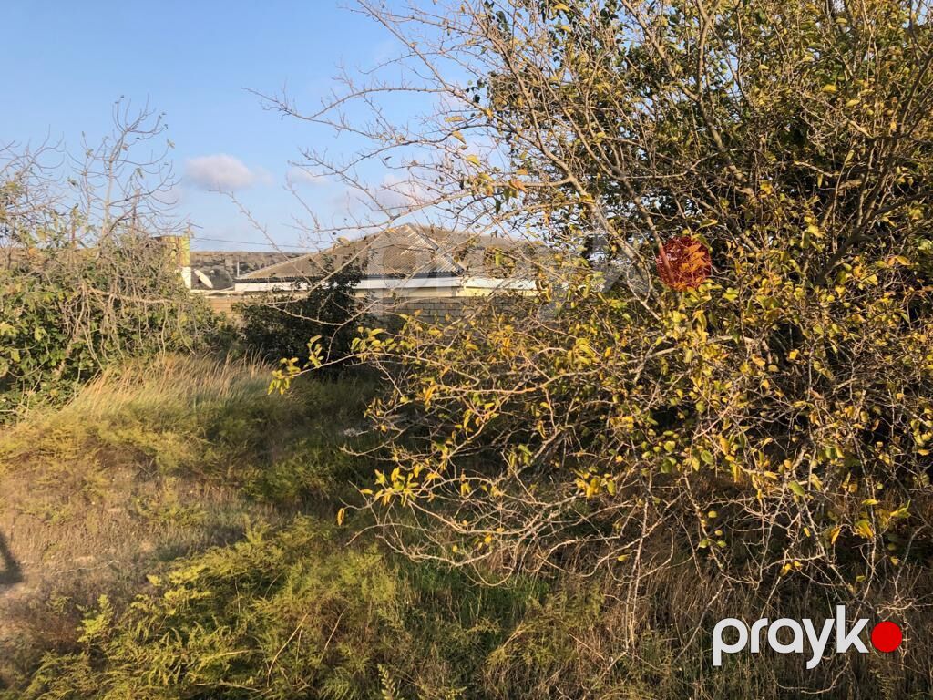 12 sot, Tikinti, Kupça (Çıxarış), Texniki pasport — Torpaq, Digah (4)