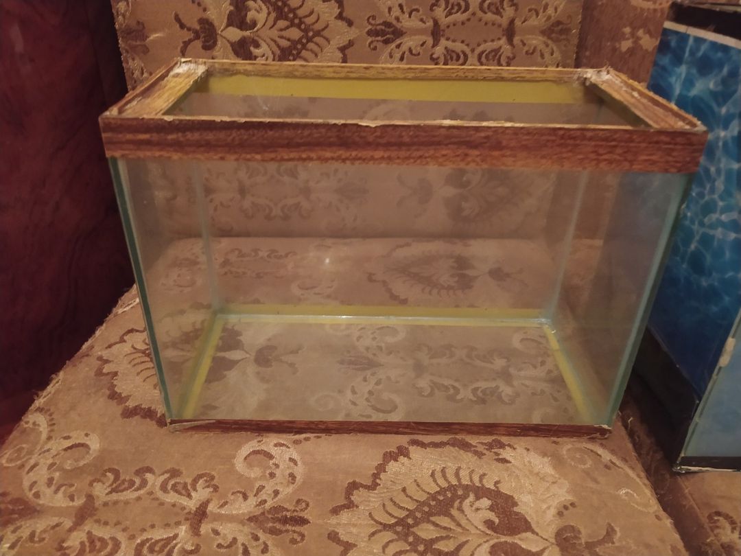 Akvarium — Akvariumlar və balıqlar, Bakı (2)
