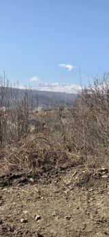 Земельный участок 6 сот, Гусарский р. — Torpaq sahəsi