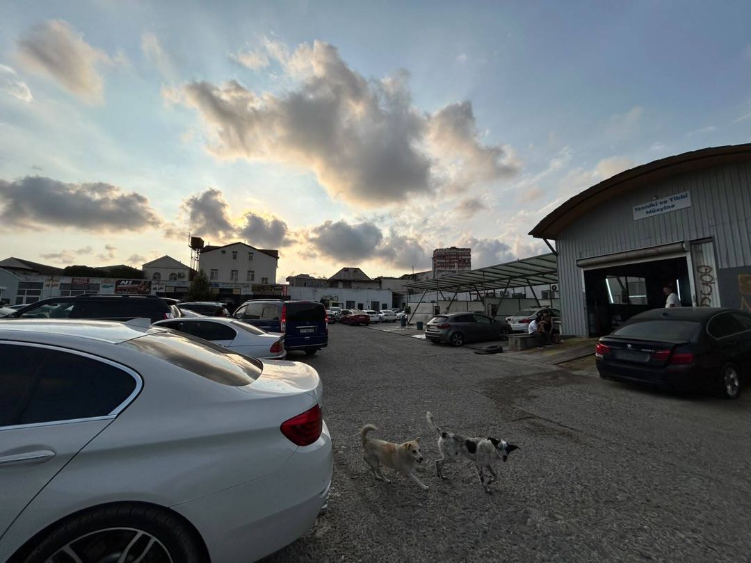 Satılır obyekt 700 m² — Əmlak, Bakı (7)