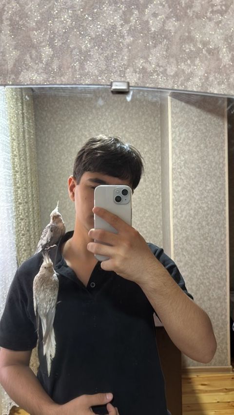Nymph (cockatiel) cütlüyü – açıq rəngli, ləkəli naxışlı, çələngli baş