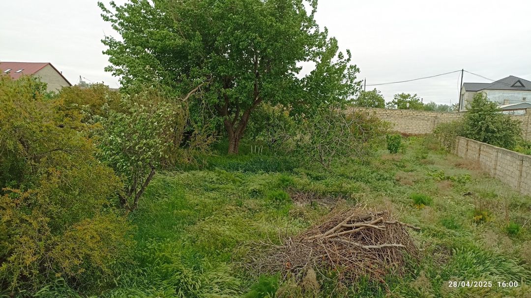 Satılır torpaq 10 sot — Torpaq, Sumqayıt (3)