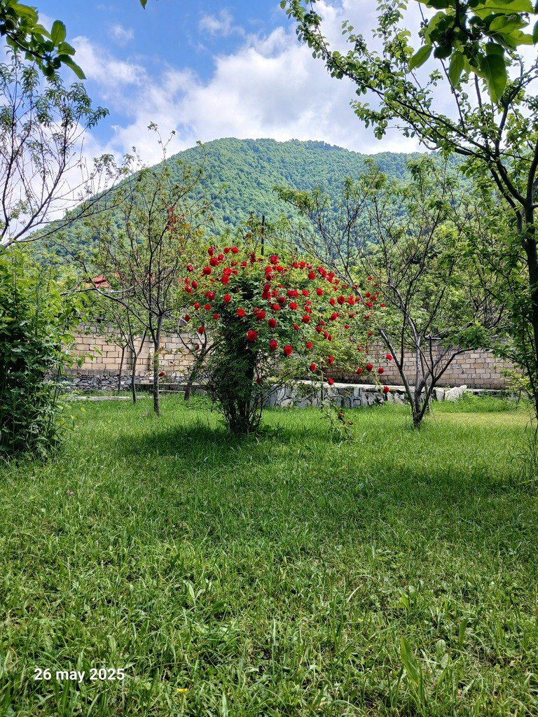 Həyət evi kirayə verilir, Qəbələ ş. — Daşınmaz əmlak, Qəbələ (2)