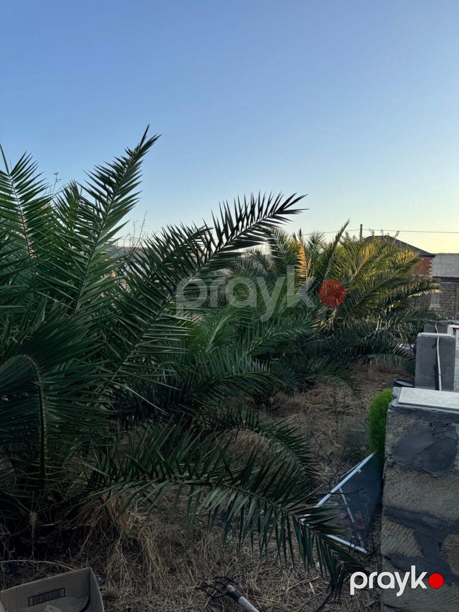 Villa, Abşeron r. — Ev, villa, Bakı (3)