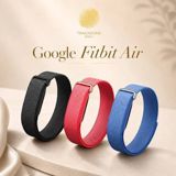 Google Fitbit Air — Elektronika