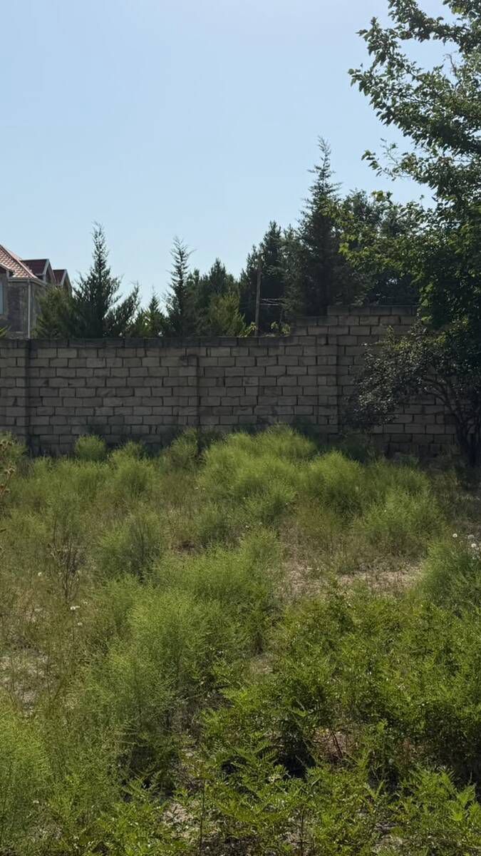 Satılır torpaq 3 sot — Torpaq, Bakı (9)