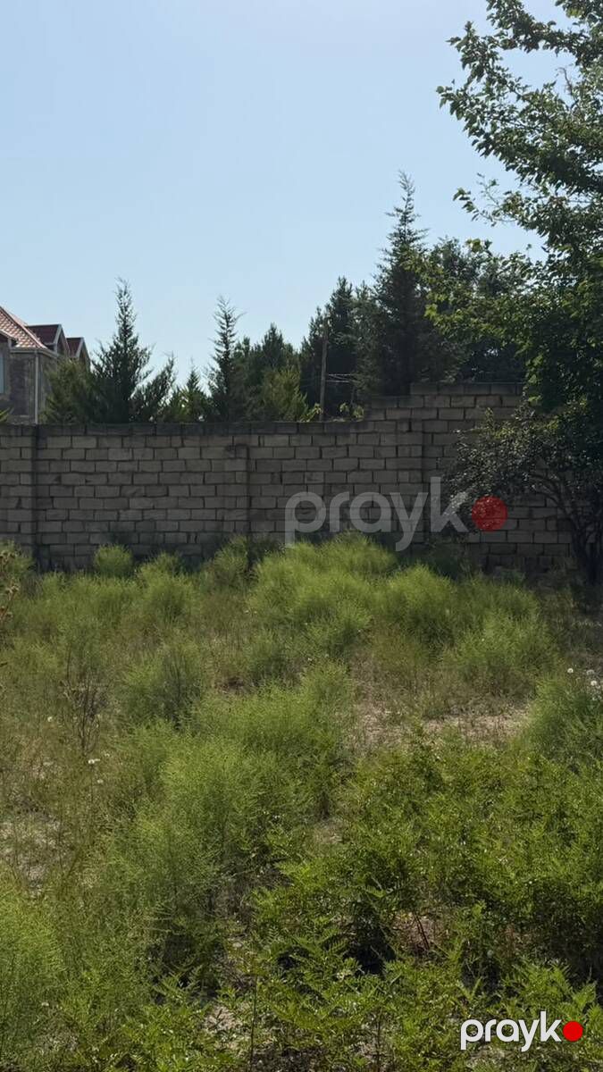 Satılır torpaq 370 sot — Torpaq, Bakı (8)
