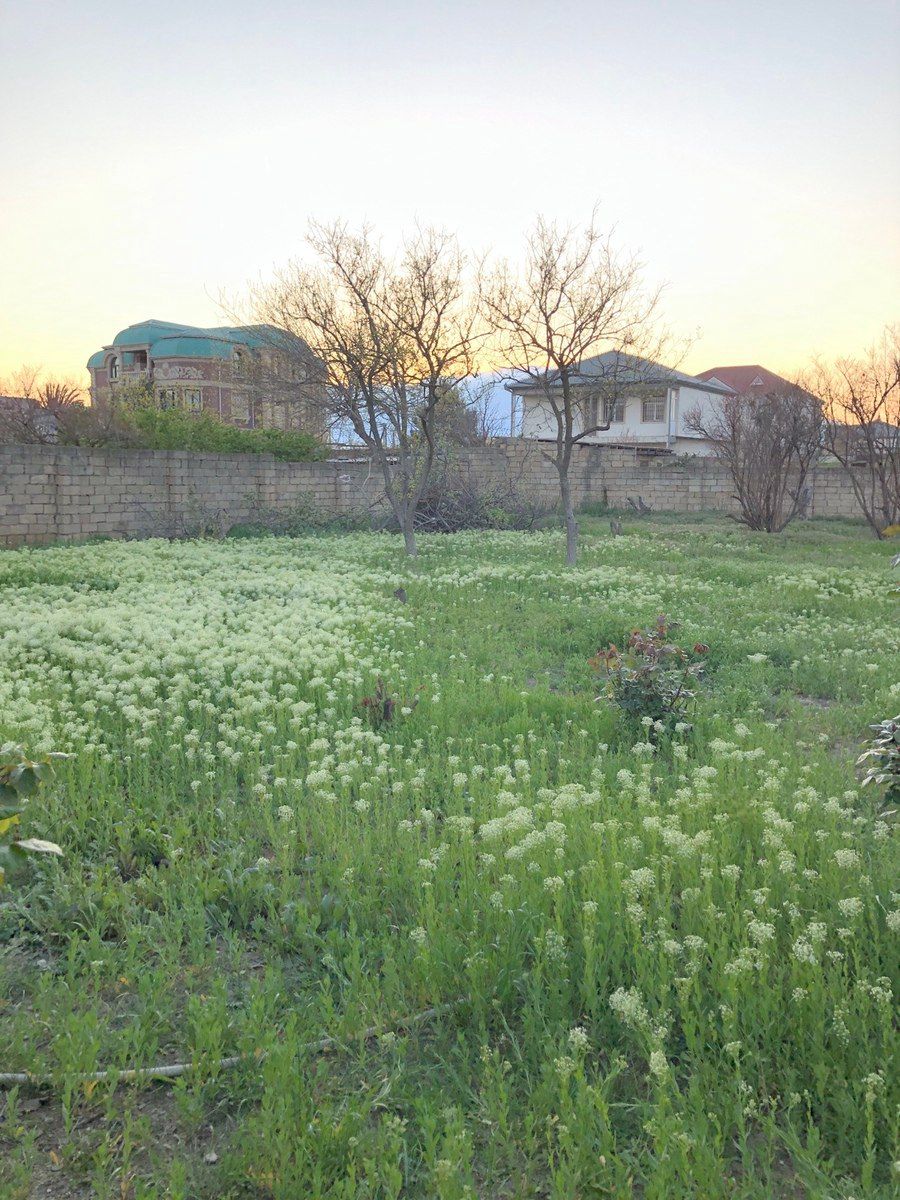 5 sot torpaq sahəsi, Y.Saray qəs. — Torpaq, Bakı (8)