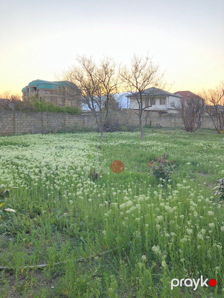 5 sot torpaq sahəsi, Y.Saray qəs. — Torpaq, Bakı (8)