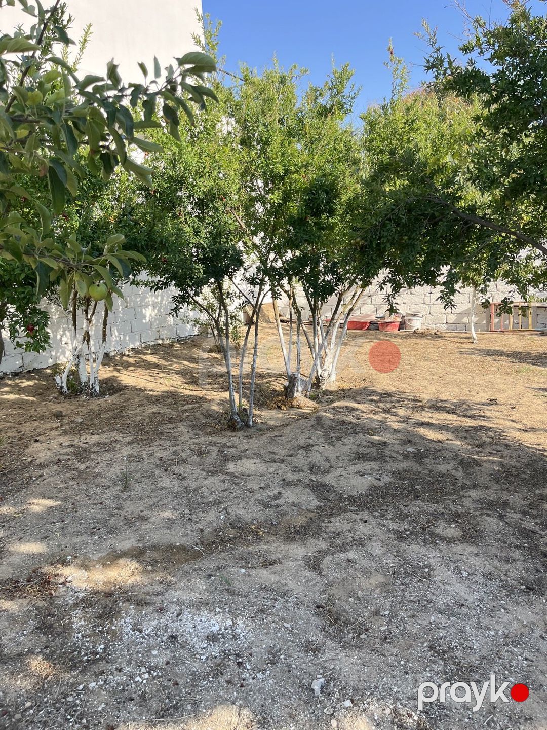 Satılır 3 otaqlı həyət evi/bağ evi 120 m² — Ev, villa, Bakı (8)