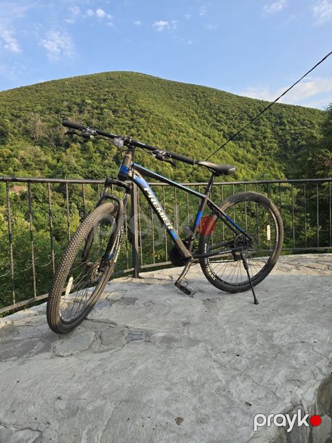 Dağ velosipedi 29