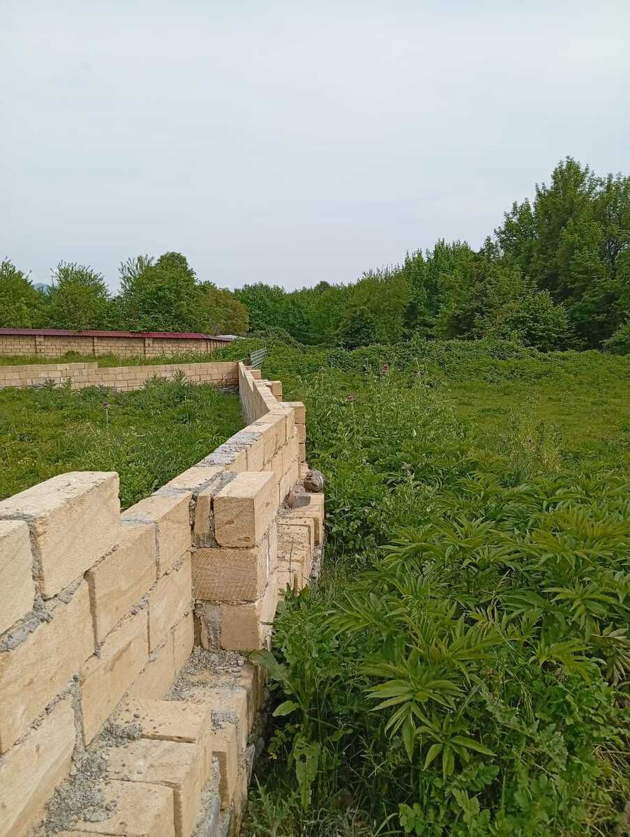 12 sot torpaq sahəsi, Qəbələ r. — Torpaq, Qəbələ (8)