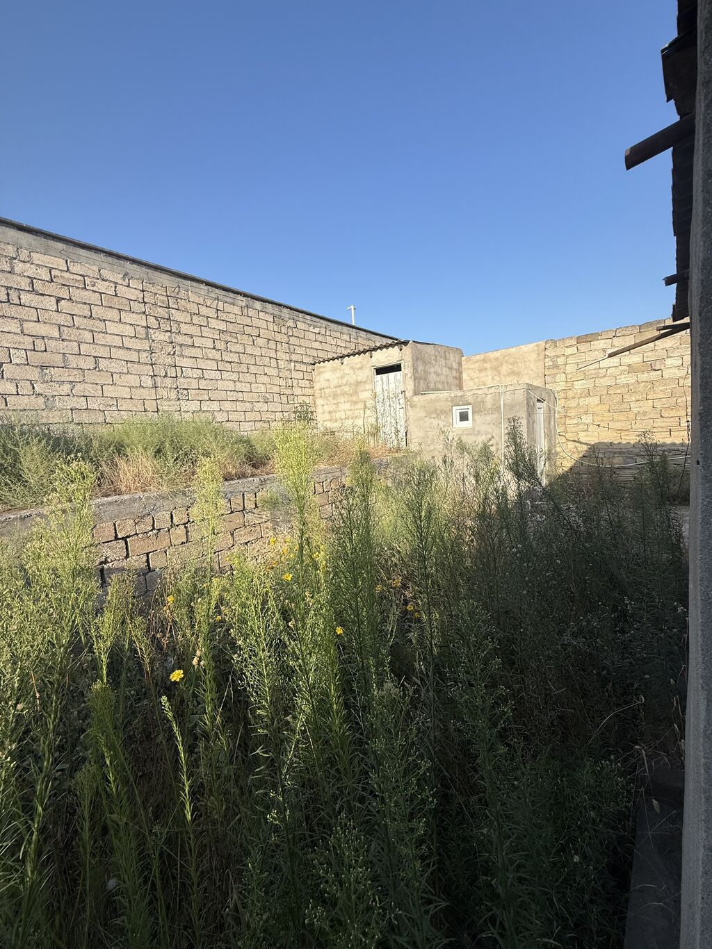 3 sot, Tikinti, Kupça (Çıxarış) — Torpaq, Digah (5)