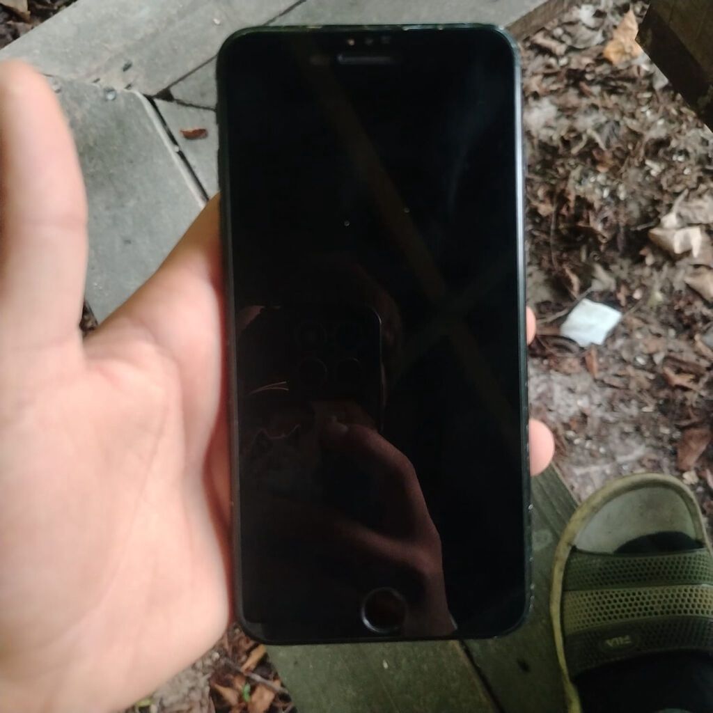 IPhone 7 Plus, 256 GB, Qara, Barmaq izi, Simsiz şarj — Apple iPhone, Şəki (2)