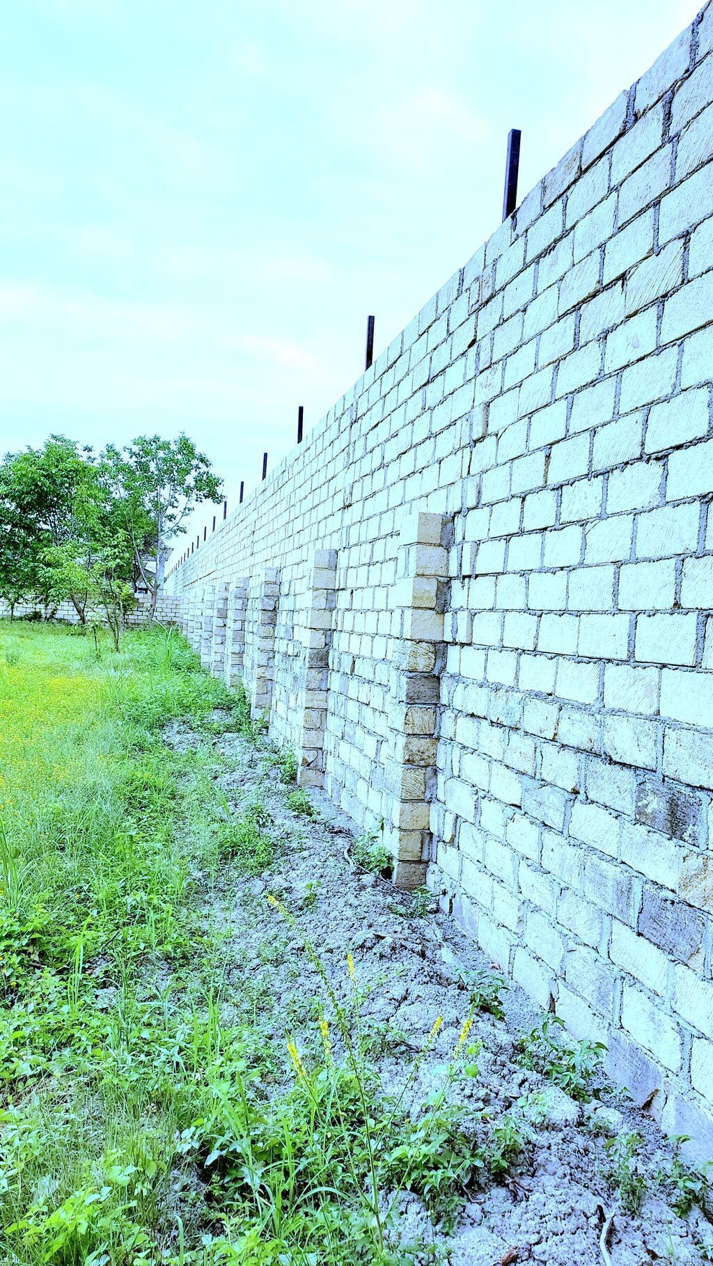 24 sot, Tikinti, Mülkiyyətçi, Kupça (Çıxarış) — Torpaq, Göyçay (7)