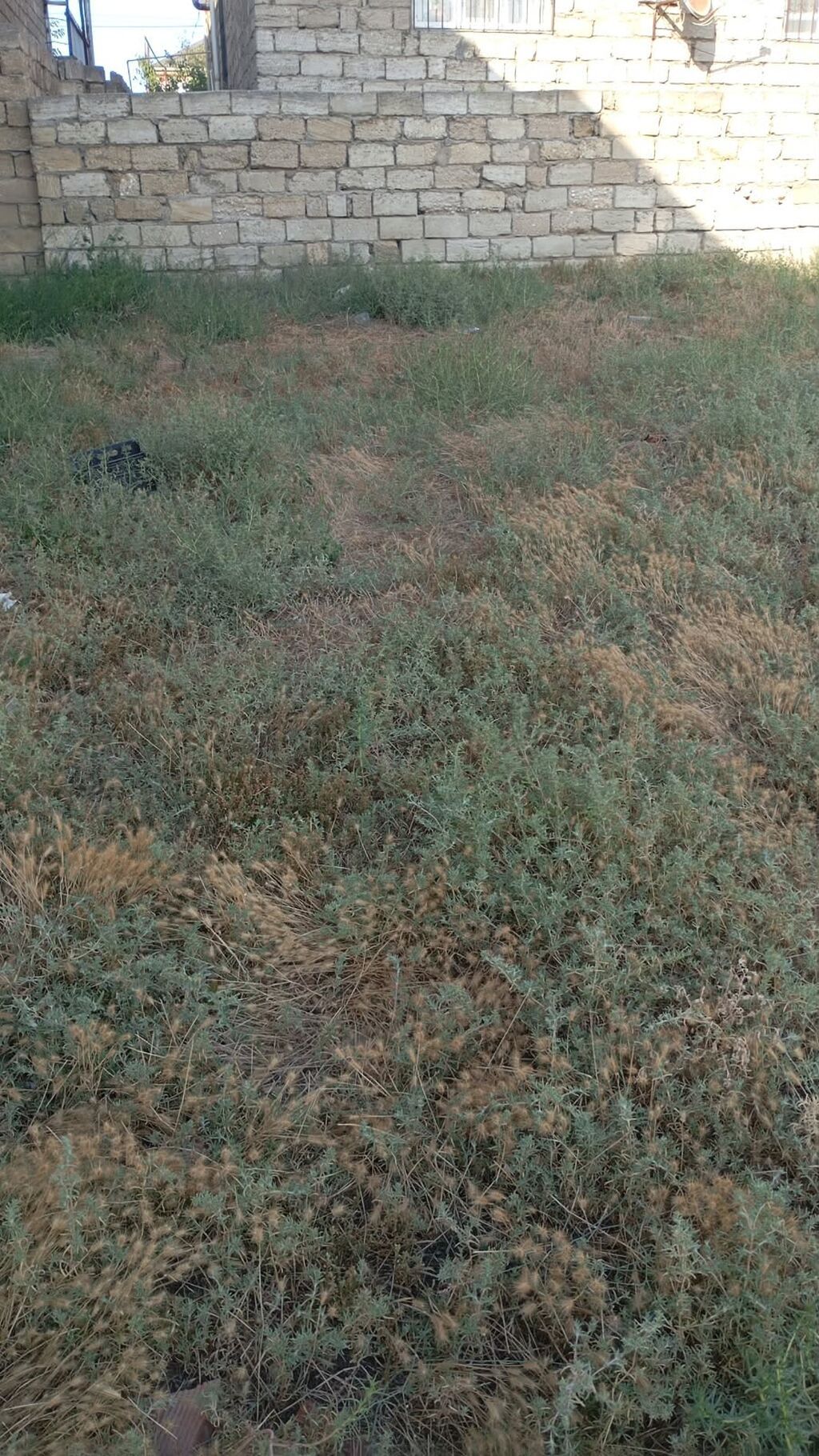 Tikinti — Torpaq, Digah (2)