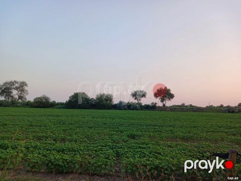 6500 sot torpaq sahəsi, Sabirabad r.