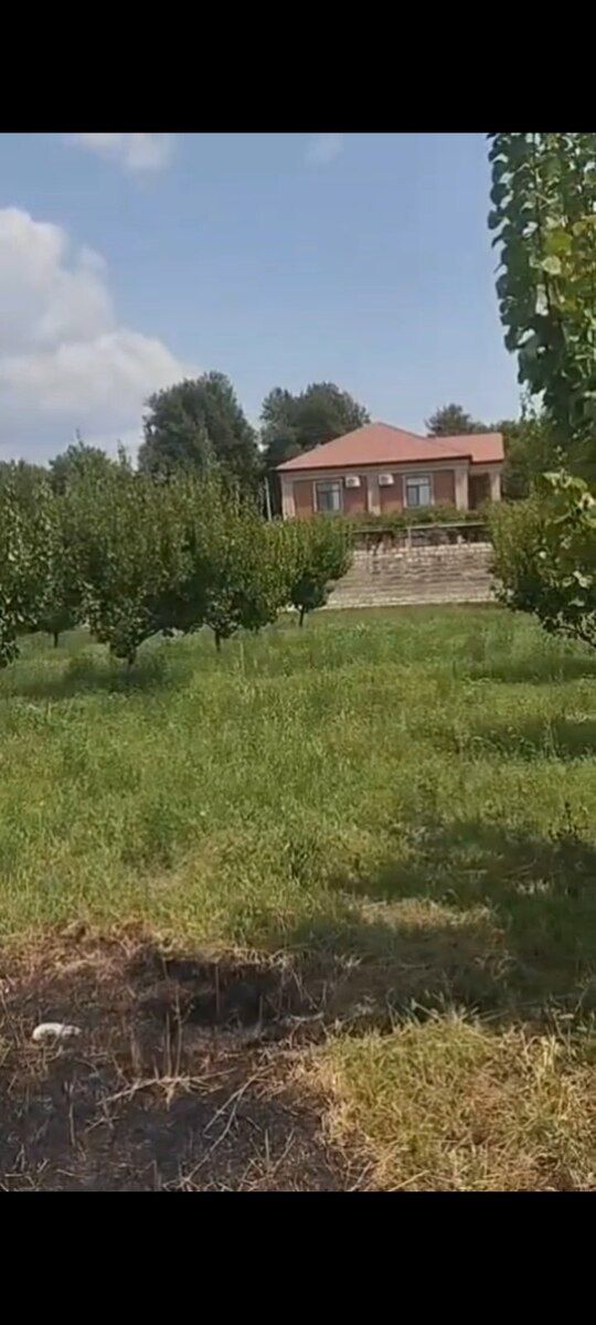 12 sot torpaq sahəsi, Pirili kəndi — Torpaq, Ağstafa (3)