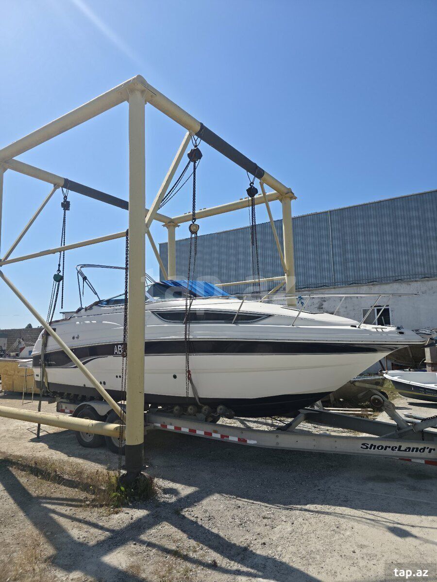 Kater Chaparral 260 — Su nəqliyyatı, Bakı (3)