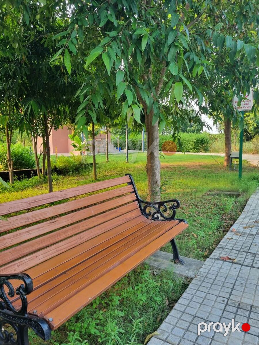 Skamya — Mallar, Bakı (3)