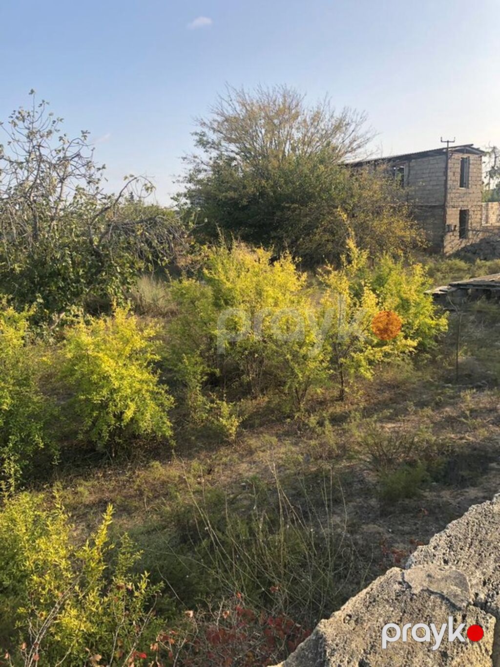 12 sot, Tikinti, Kupça (Çıxarış), Texniki pasport — Torpaq, Digah (7)