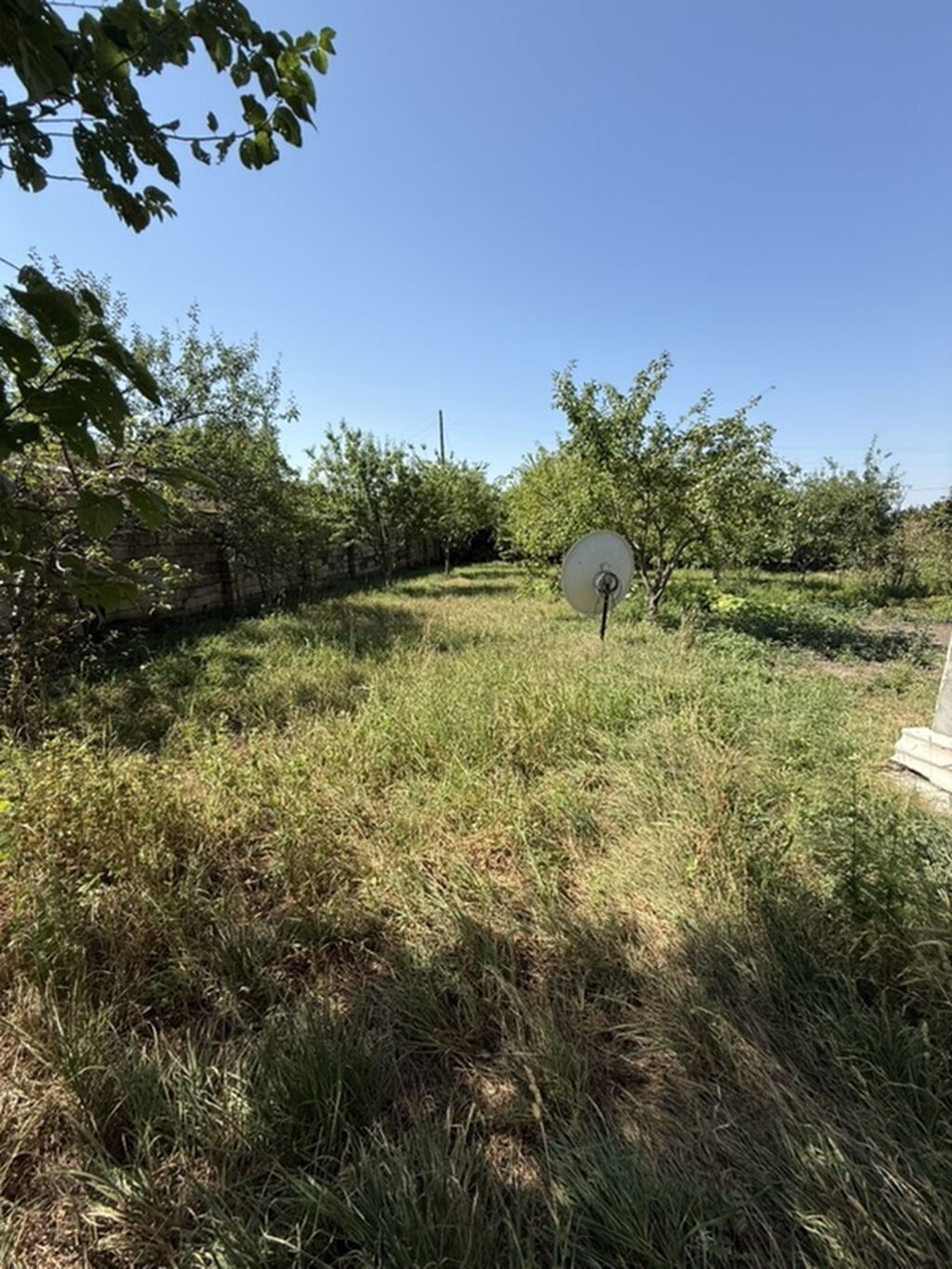 3 sot, Tikinti — Torpaq, İsmayıllı (5)