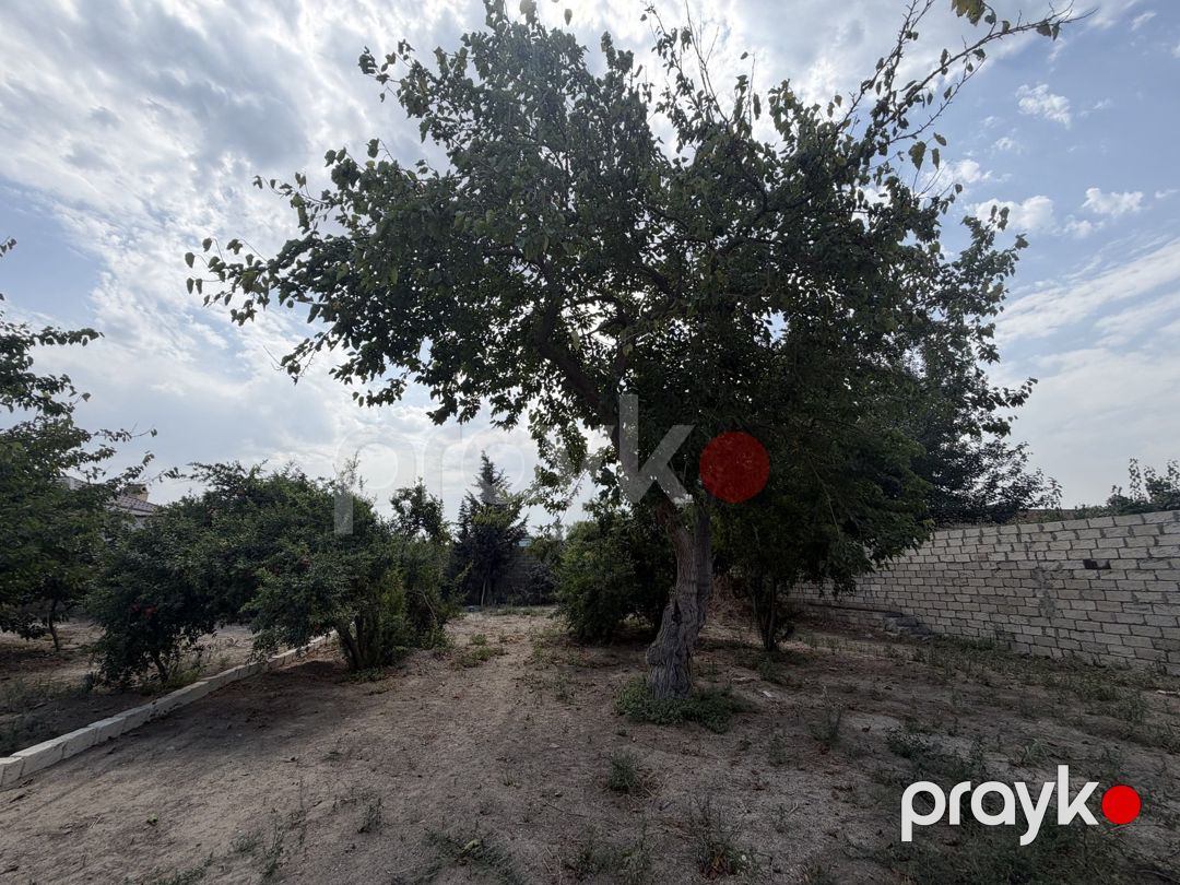 Satılır torpaq 11 sot — Torpaq, Bakı (6)
