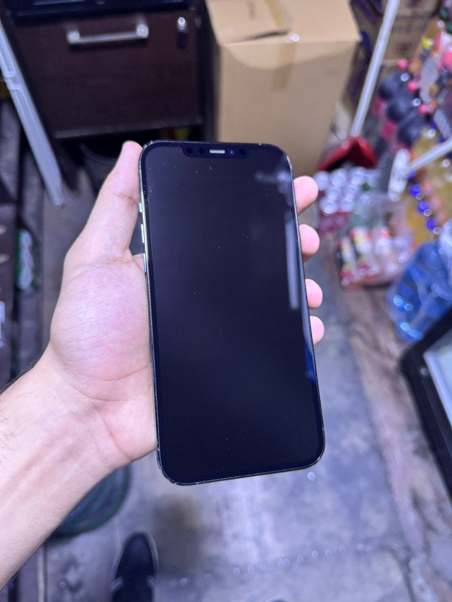 Apple iPhone 12 Pro Max Pacific Blue 256GB/6GB — Çexollər, Sumqayıt (3)