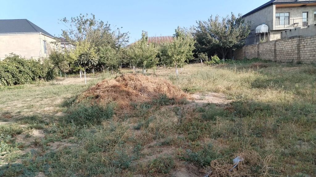10 sot, Tikinti, Mülkiyyətçi, Kupça (Çıxarış)