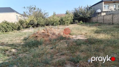 10 sot, Tikinti, Mülkiyyətçi, Kupça (Çıxarış)