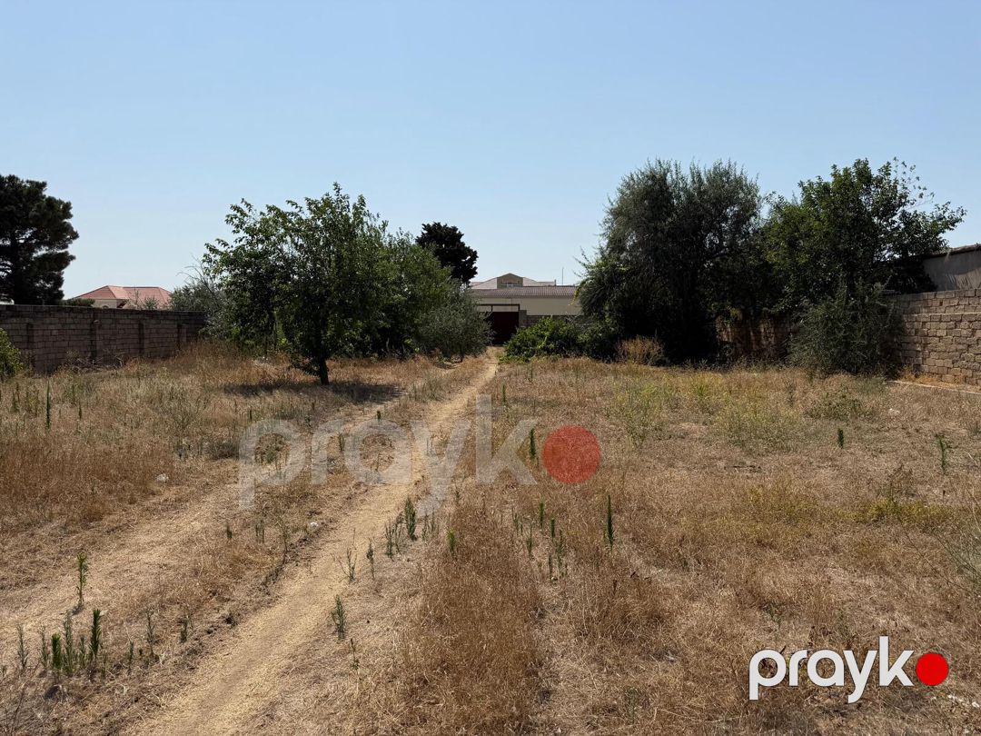 Satılır torpaq 12 sot — Torpaq, Bakı (4)