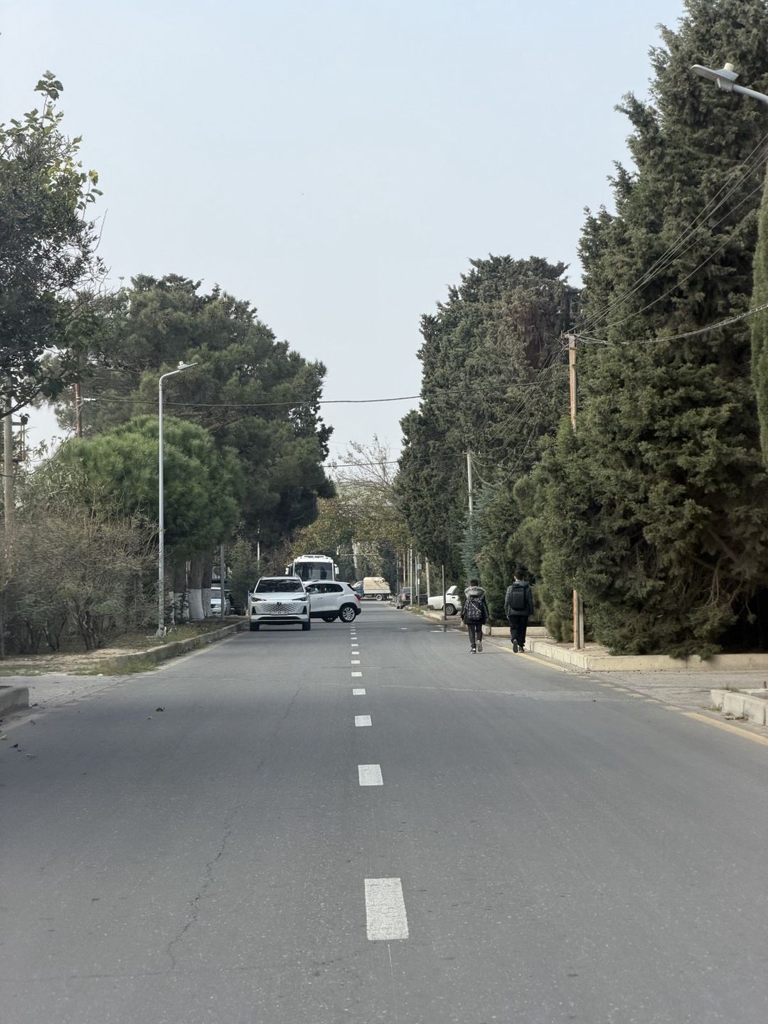 Satılır torpaq 3.4 sot — Torpaq, Bakı (4)