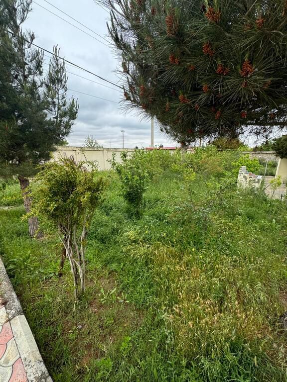 Satılır 5 otaqlı həyət evi/bağ evi 350 m² — Ev, villa, Bakı (6)