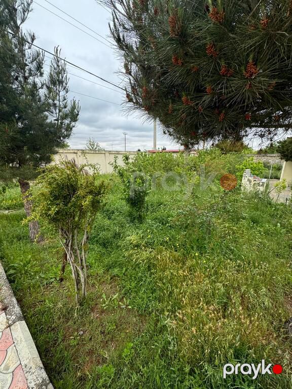 Satılır 5 otaqlı həyət evi/bağ evi 350 m² — Ev, villa, Bakı (6)