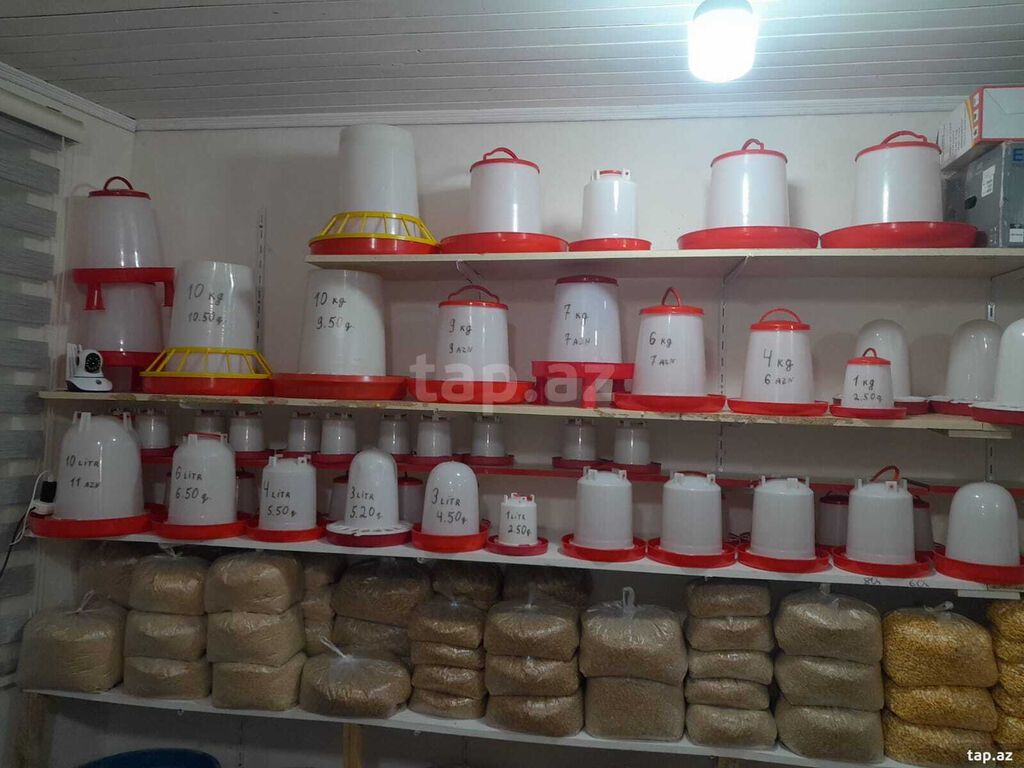🐔 Toyuq, cücə və göyərçinlər üçün yem və su qabları satılır 📦 Su — Heyvanlar, Bakı (2)