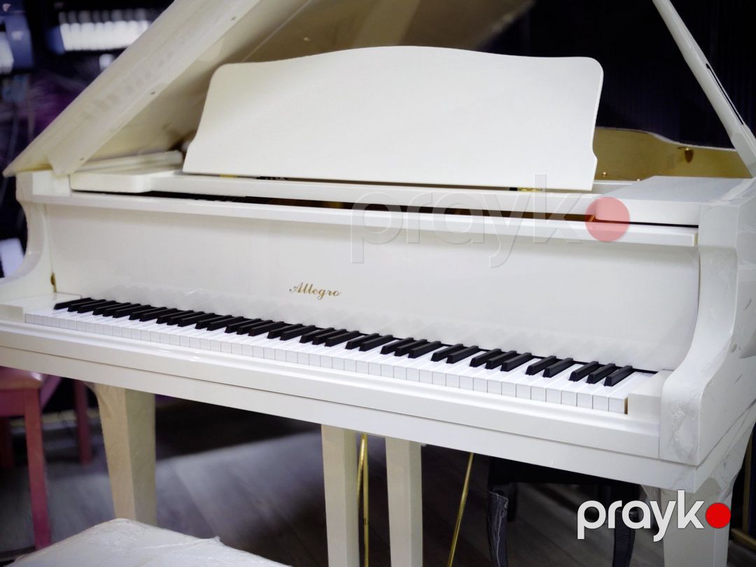 Akustik piano — Musiqiə alətləri, Bakı (5)