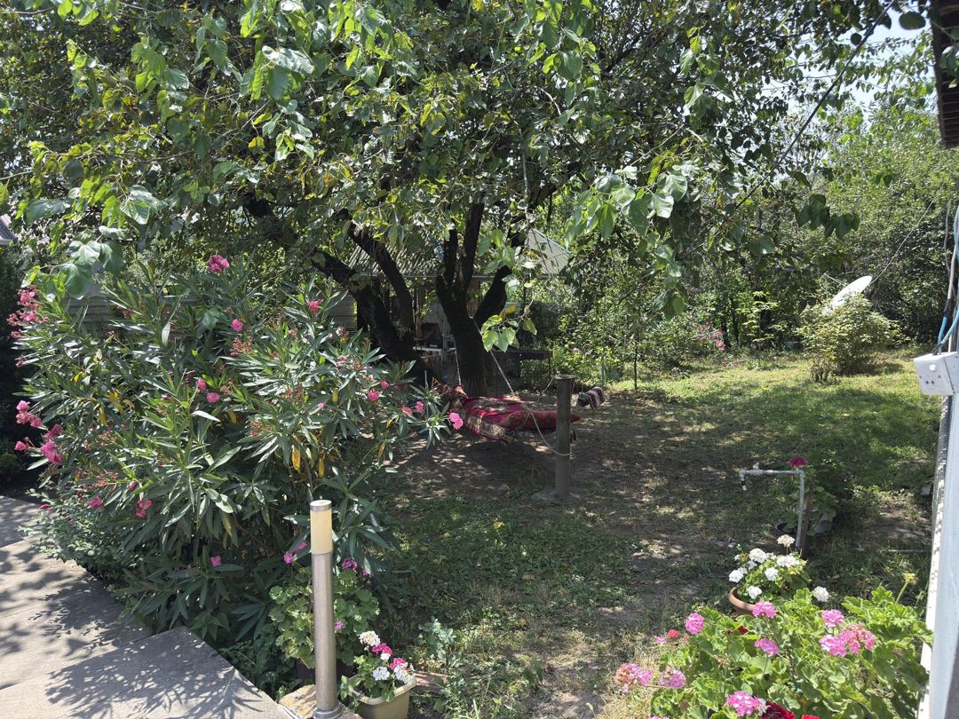 İcarəyə verilir 3 otaqlı həyət evi/bağ evi 150 m² — Ev, villa, Qəbələ (4)
