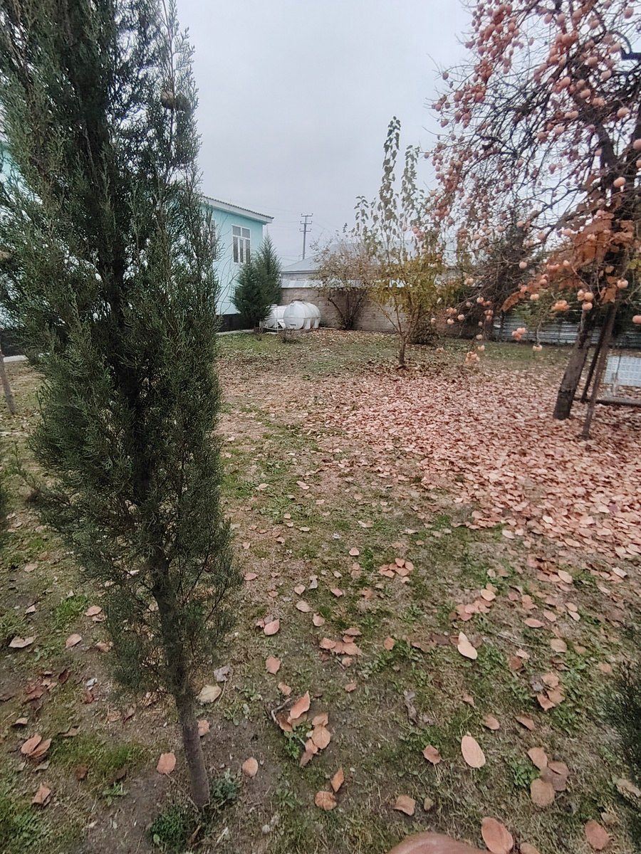 Həyət evi, Nəsimi küç. 179 — Daşınmaz əmlak, Qəbələ (7)