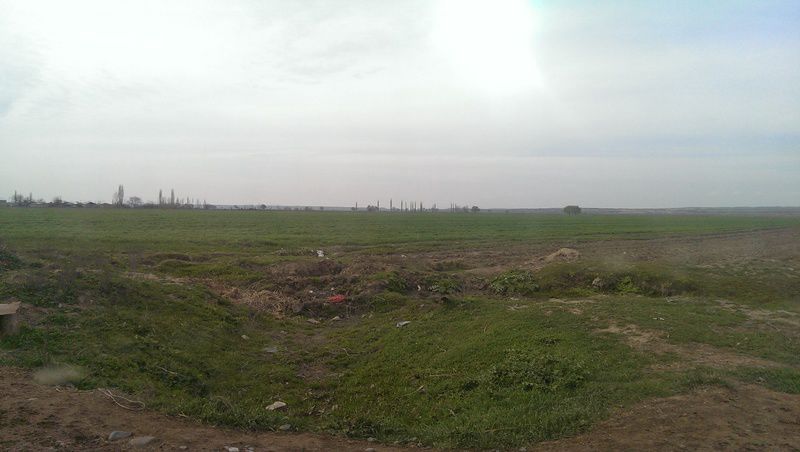 Satılır torpaq 131 sot — Torpaq, Tovuz (4)