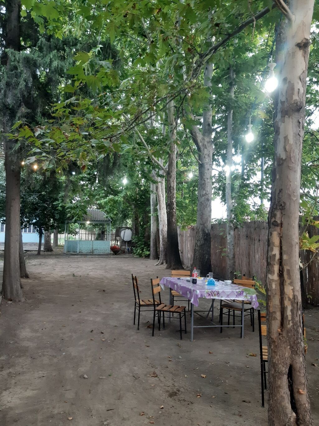 Nərgiz kafesine ofsiyant xanım teleb olnur maaş 30 azn +yimək çayavoy — Daşınmaz əmlak, Tovuz (5)